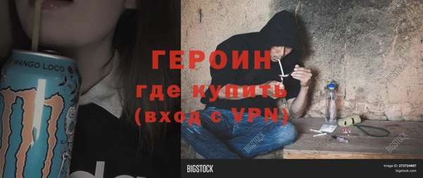 прущие грибы Осташков
