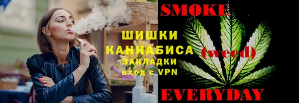 прущие грибы Осташков