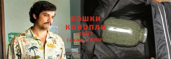 прущие грибы Осташков