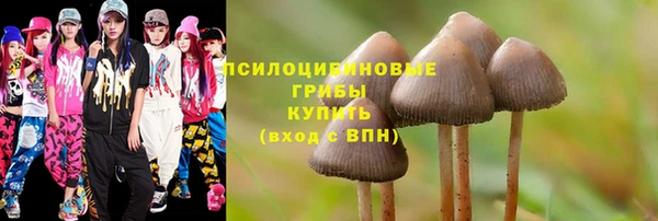 гашиш Осинники