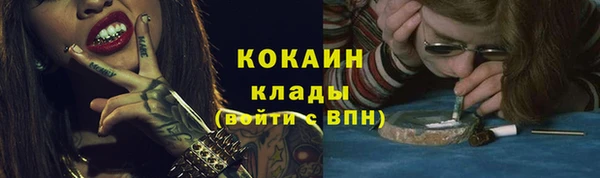 прущие грибы Осташков