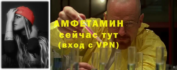 прущие грибы Осташков