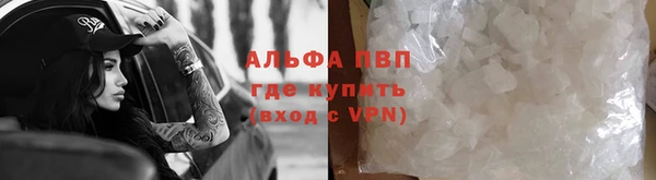 прущие грибы Осташков
