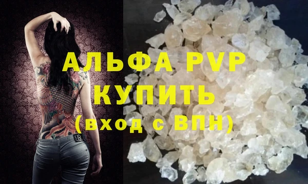 прущие грибы Осташков
