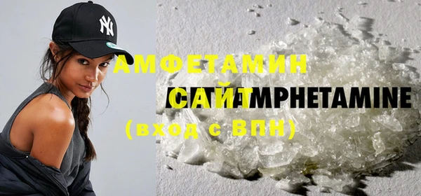 прущие грибы Осташков