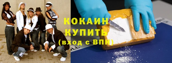 прущие грибы Осташков