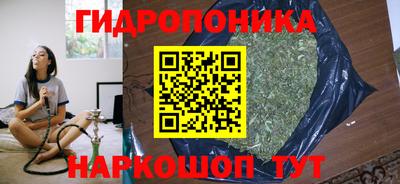 PSILOCYBIN Кинель