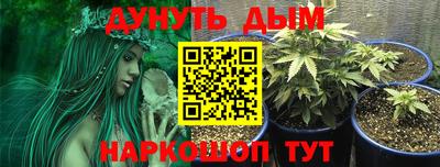 мет Кингисепп