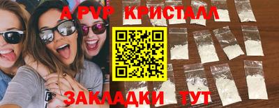 мет Кингисепп